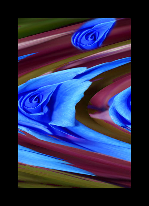 Lost_rose.jpg