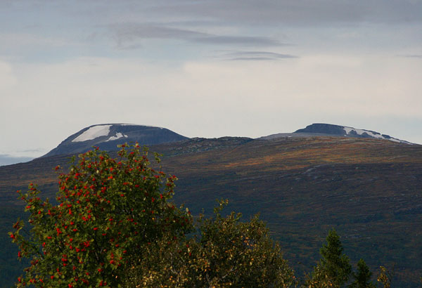 Trollhetta.jpg