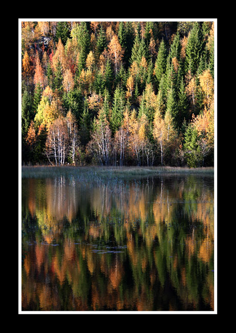 Mirror_image.jpg