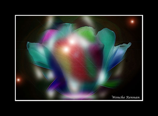 Space_tulip.jpg