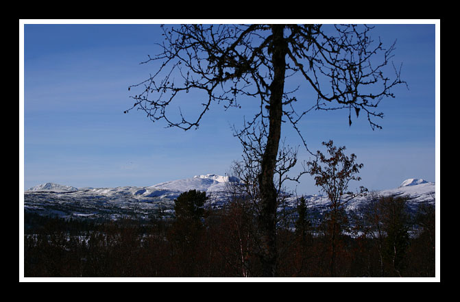 Trollheimsfjell_i_sol.jpg
