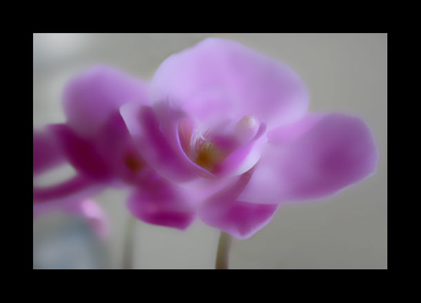 Blur.jpg
