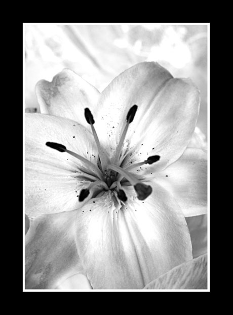Black__n_white.jpg