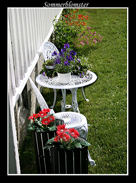 Sommerblomster.jpg