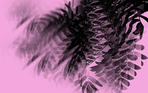 Crazy-leaves_1.jpg