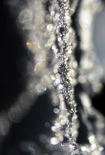 Diamonds_are_forever.jpg