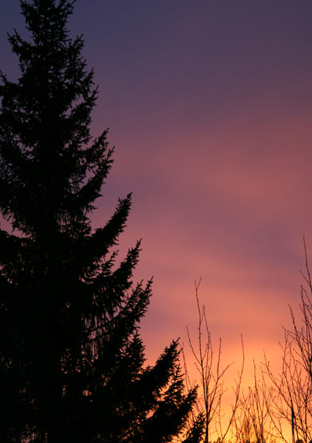 Fin_himmel.jpg