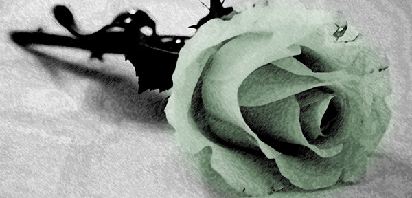 Green_rose.jpg