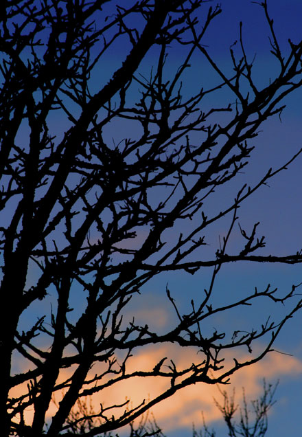 Himmel_bl__.jpg