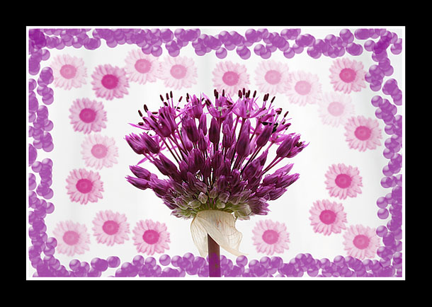 Blomster.jpg