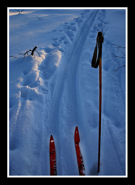 Nyski.jpg