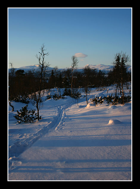 Gamle_skispor.jpg