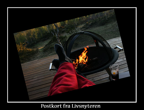 Livsnyter.jpg