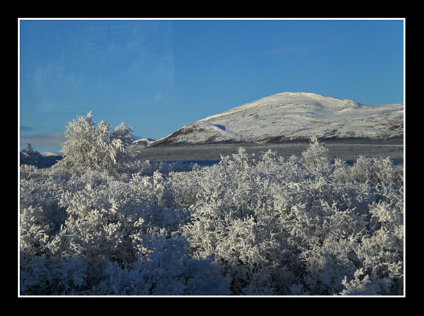 Fjell.jpg