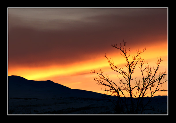 Himmel_over_Svarthetta.jpg