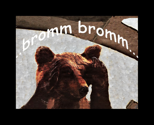 Bj__nn.jpg