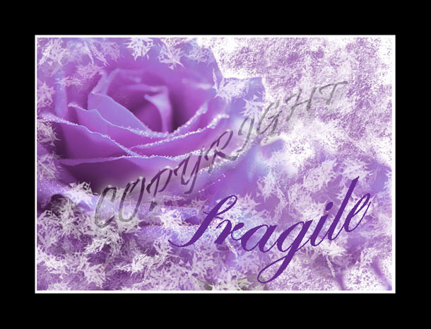 Fragile.jpg