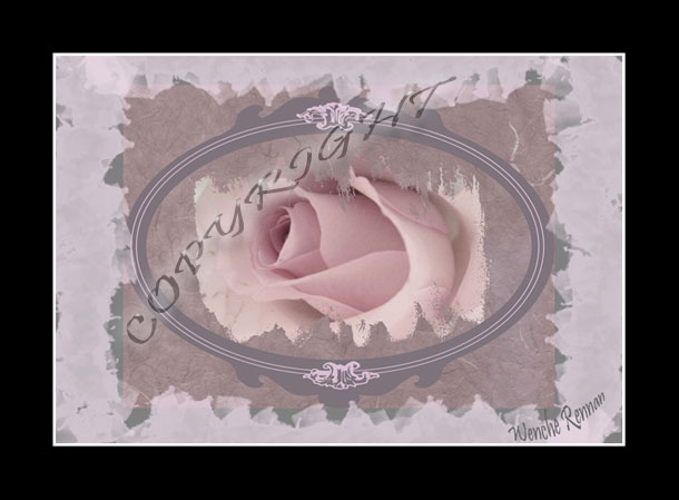 Paper_rose.jpg