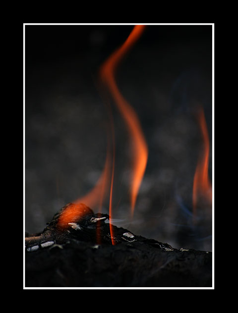 Flamme_1.jpg