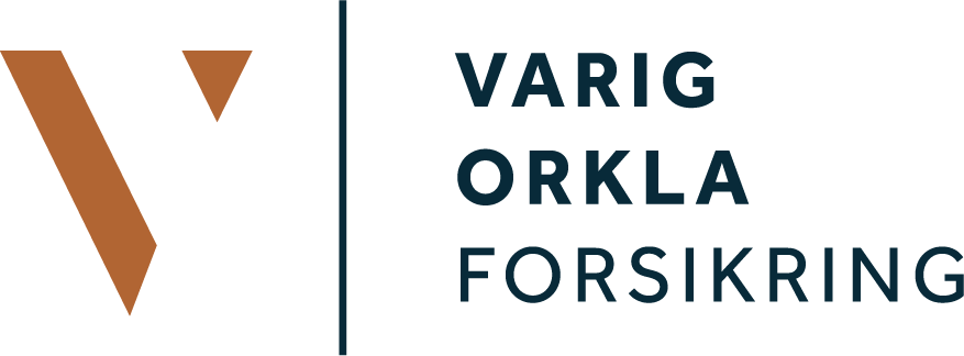 Varig logo orkla 4f 02
