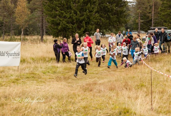 Resfjellet opp 2014