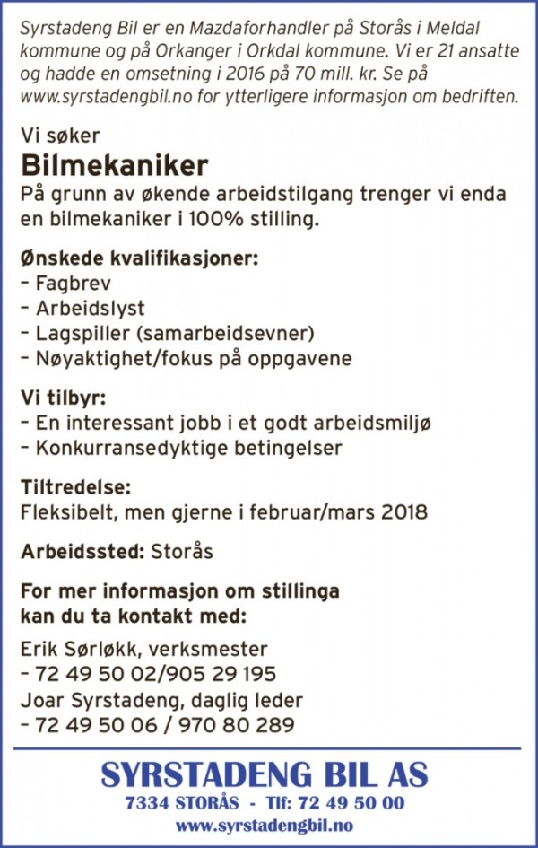 10099995 Syrstadeng Bil