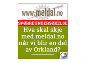 Sporreundersokelse
