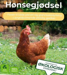 honsegjodsel