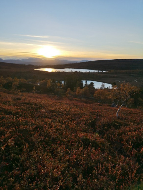 Bilde8 Lag sol