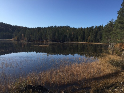 Stengt vei ved Malisetra 6