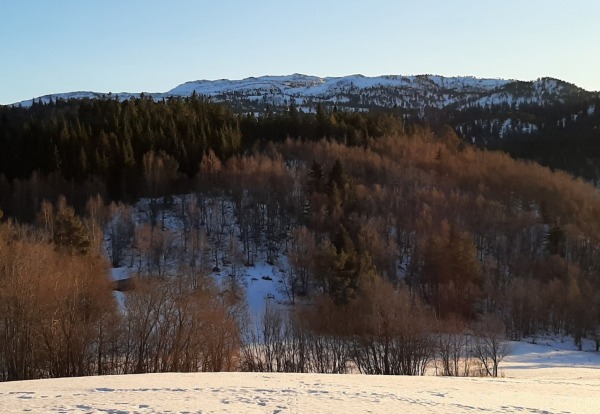 Vinter 11