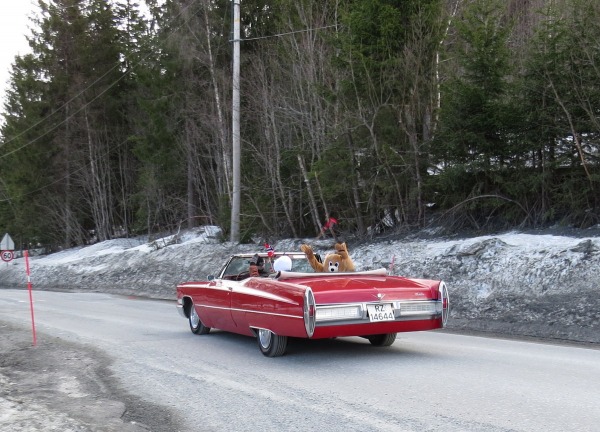 44 IMG 8379