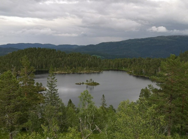 Lomtjonna 1