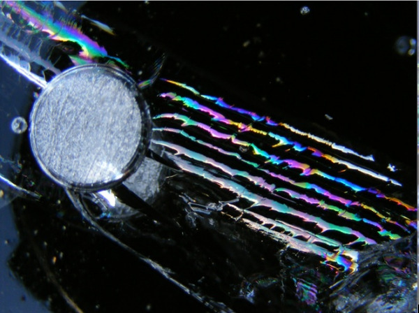 Gullhane 2