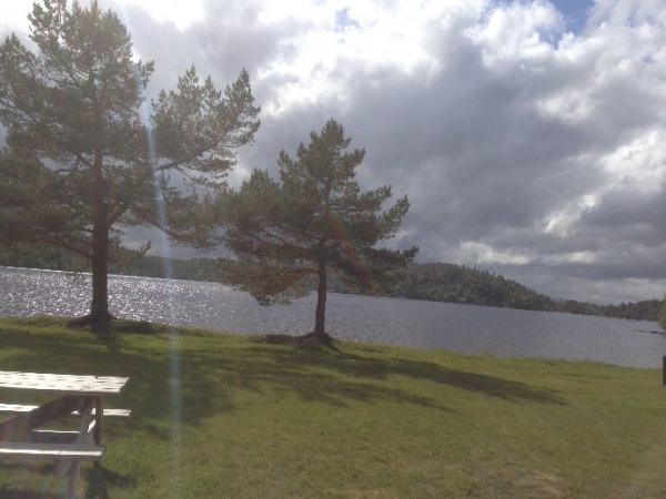 Frilsjoen dugnad 1