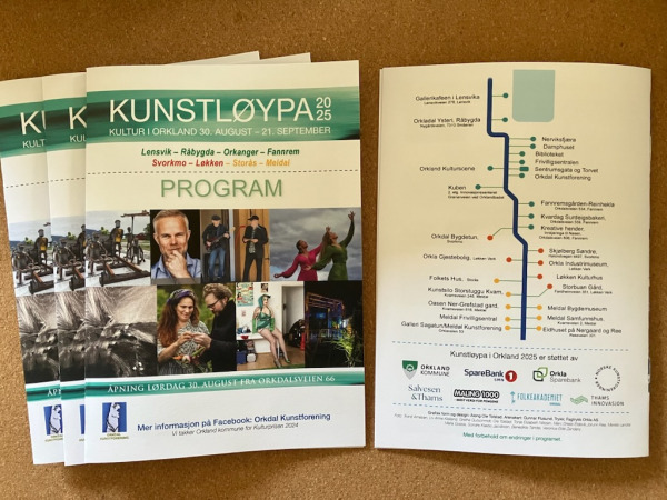 Kunstloypa 1