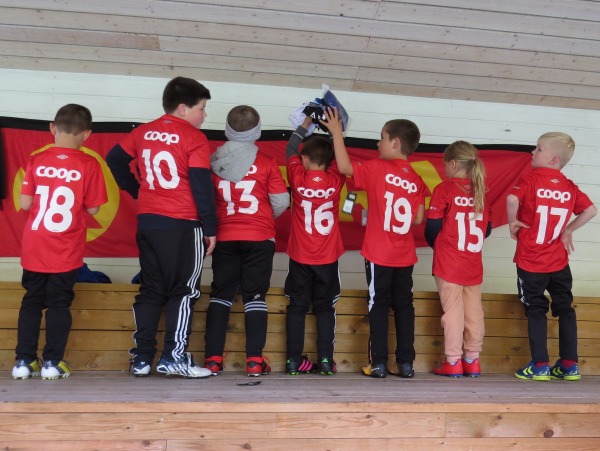 17 IMG 8845