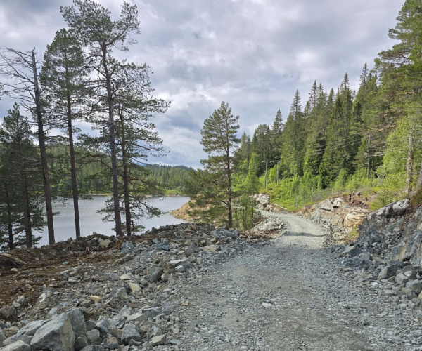 Lokken if tursti rydding Bustadmarka skogsbilveien