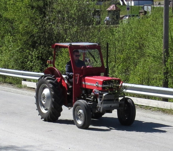IMG 9598