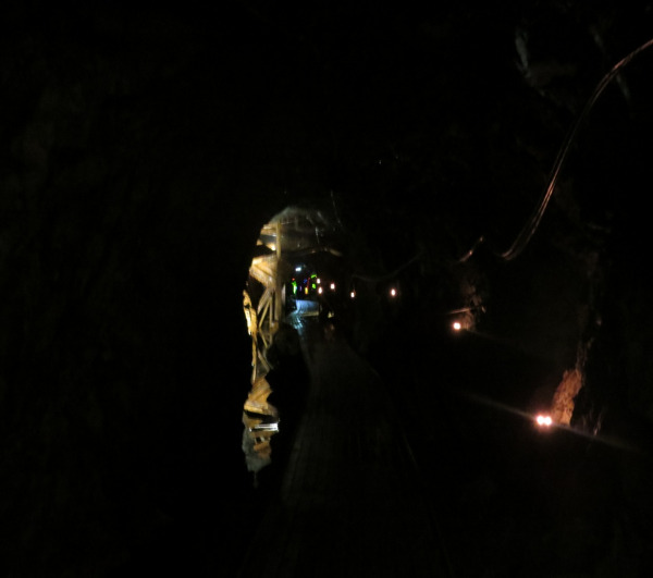 IMG 0454