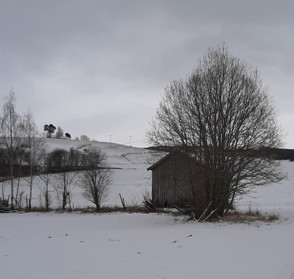 Vinter 13