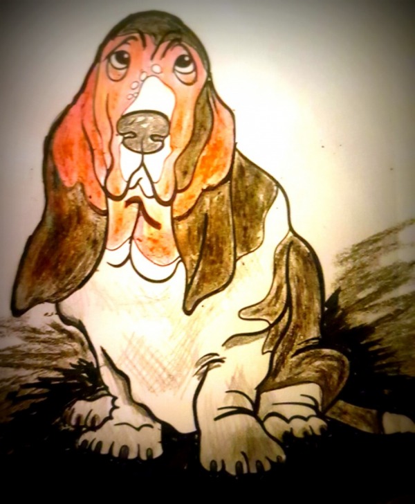 1 Basset