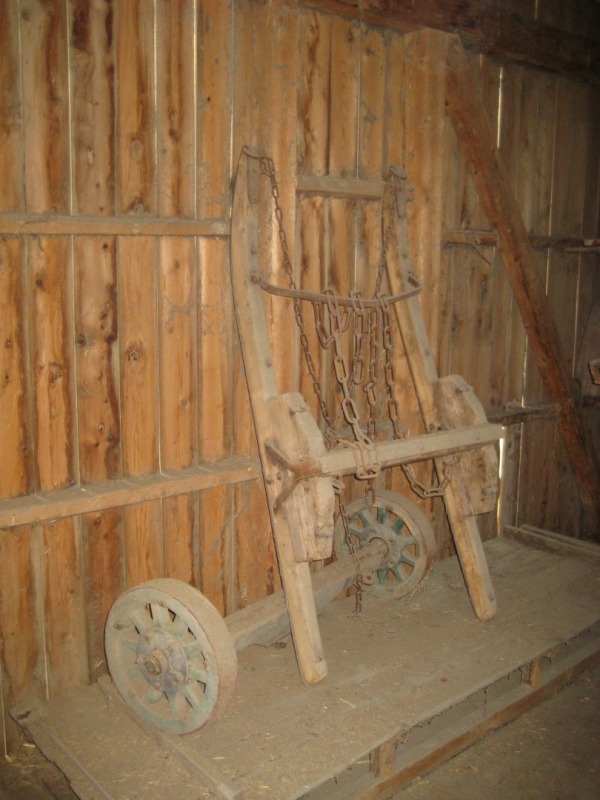 Stotting 