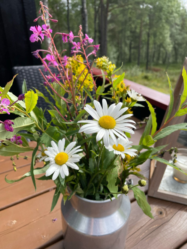 thumbnail image0.jpg Sommerblomster