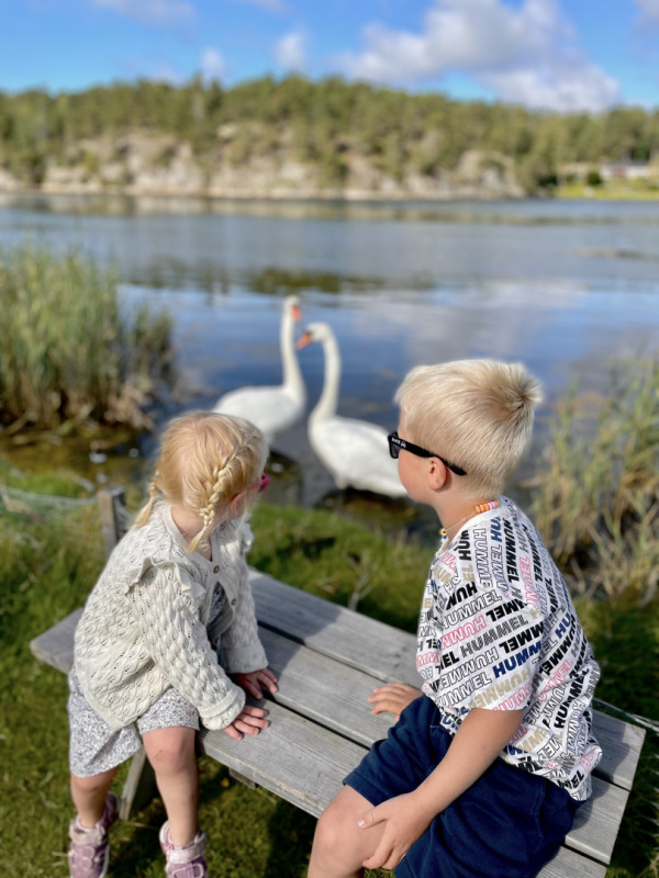 thumbnail image0.jpg Tur ved sjoen i Stromstad