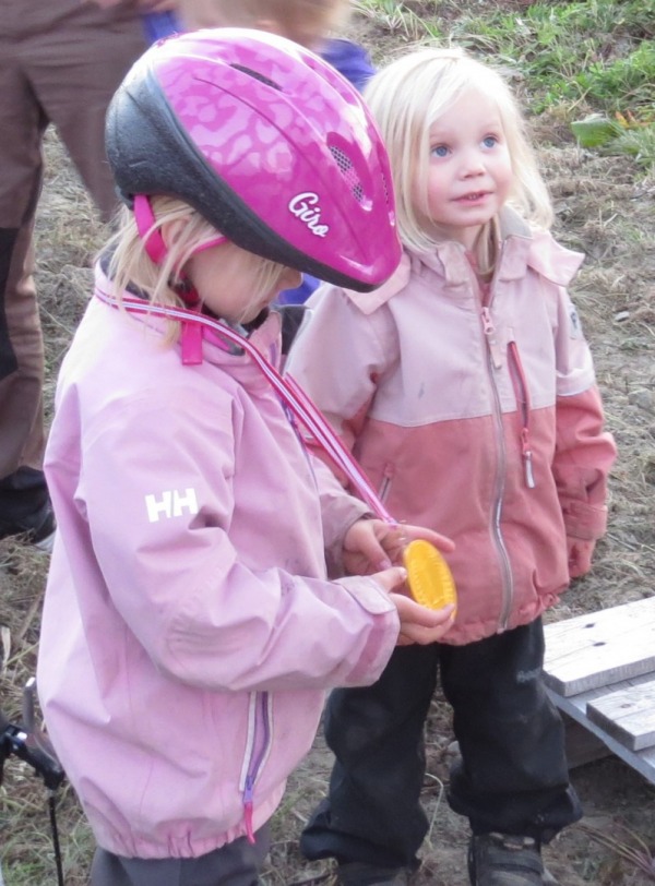 IMG 0086