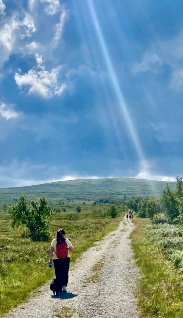 thumbnail IMG 5062.jpg Sommer i fjellet Eli Halsetbakk