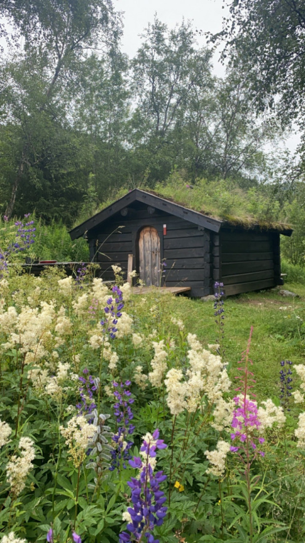 thumbnail image0.jpg Helga Rom Olskastet