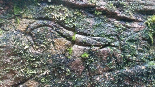 Skrivarstuggu 5