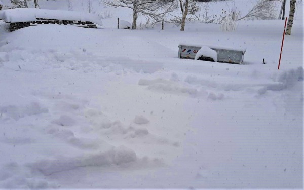 Sno april 2
